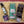 Load image into Gallery viewer, Taste Box
