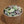 Load image into Gallery viewer, Additional Broccoli Salad