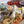 Load image into Gallery viewer, Large Deli Graze Box